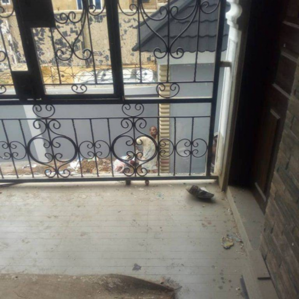3Dalux Glossy paint on burglary and window at Akute