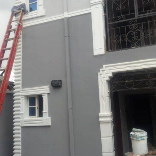 New look of Duplex painted with 3Dalux paint